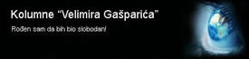 velimir gasparic