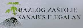 NASLOVNA Razlog zasto je kanabis ilegalan