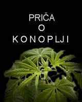 REKLAMNA Prica o konoplji