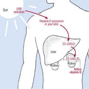 Stvarna priča o vitaminu D + VIDEO o dobrobiti Uzemljivanja