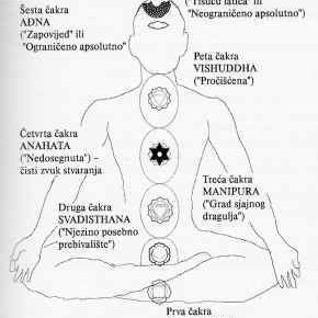 Anatomija duha (2.dio): moć sedam čakri Anatomija duha (2.dio): moć sedam čakri
